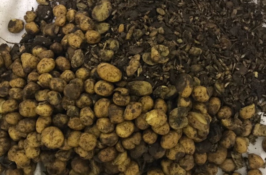 Утилизация 4